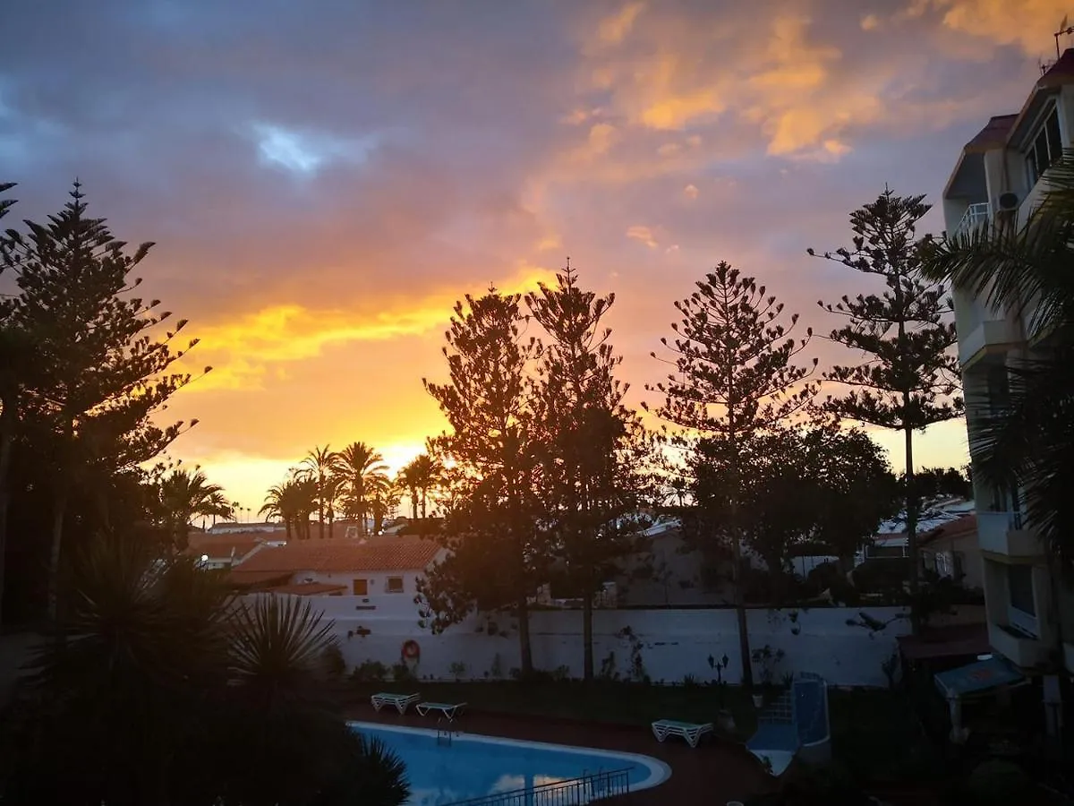 Mama Yumbo Apartment Playa del Ingles   Playa del Ingles (Gran Canaria)